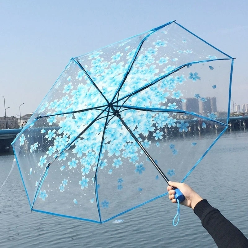 Cherry Blossom transparent umbrella girl