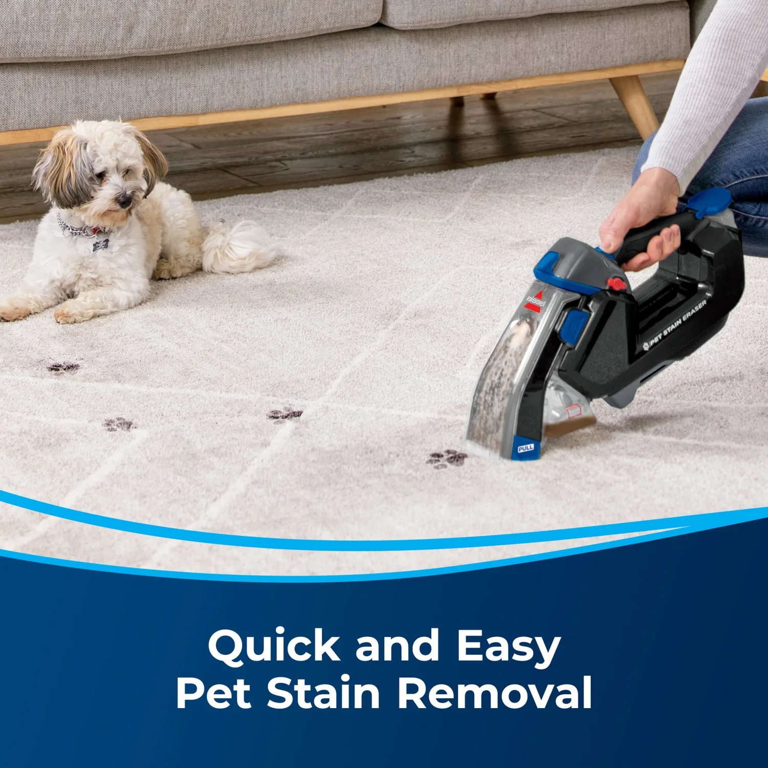 BISSELL Pet Stain Eraser Plus, Removable Scrub Brush, PET PRO OXY Spot & Stain Formula Included, 3181