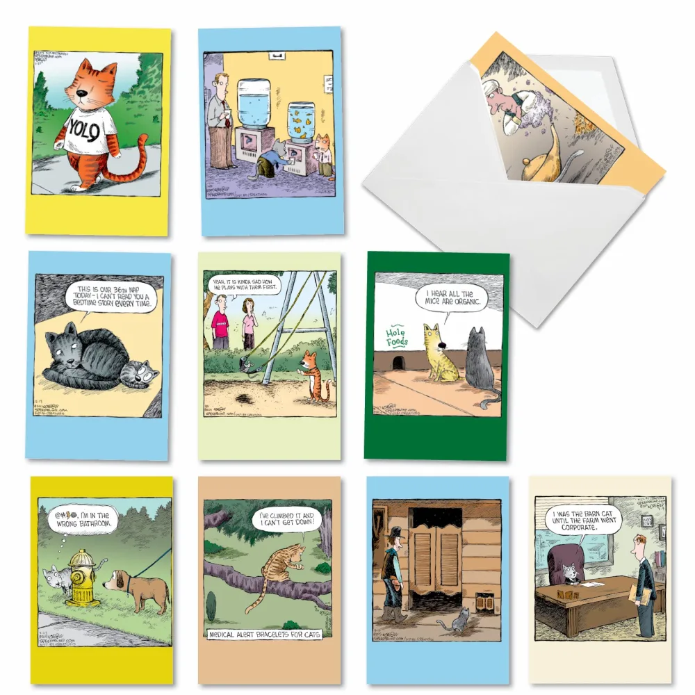 NobleWorks - 10 Assorted Happy Birthday Cards - Funny Bday Greeting Cards with Cartoons, Bulk Boxed Notecard Set - Feline Funnies A2679BDG