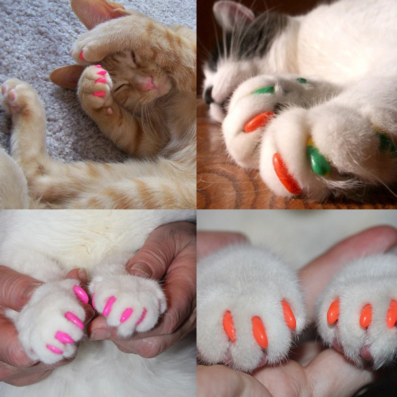 Zinc Set Zinc Cat Nail Caps Pet Nail Set Set Cat Anti-scratch Claw Set