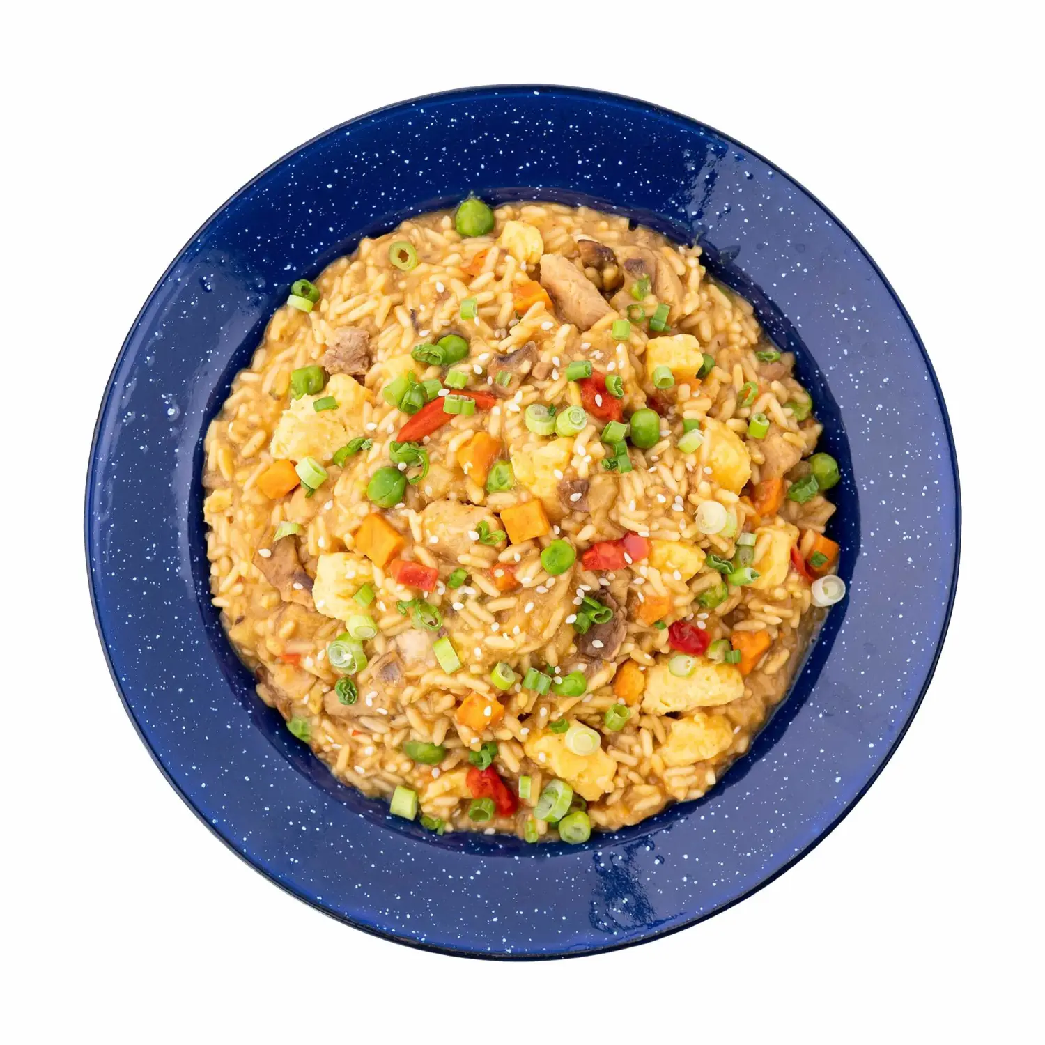Mountain House Chicken Fried Rice | Freeze Dried Backpacking & Camping Food | 2 Servings | Gluten-Free & Beef Stroganoff with Noodles | Freeze Dried Backpacking & Camping Food | 2 Servings