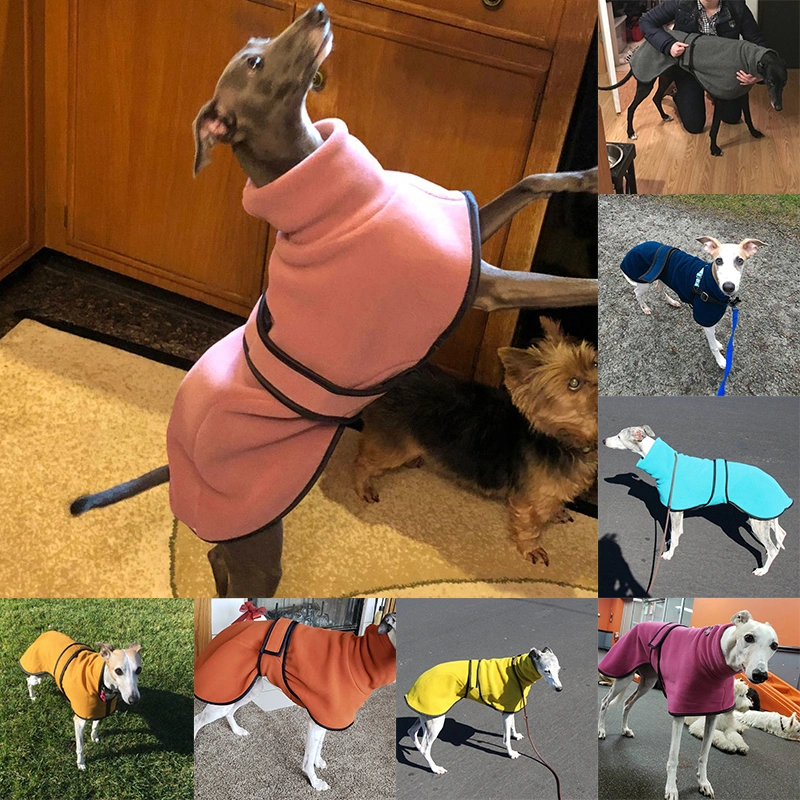 Dog Clothes Autumn and Winter Puppy Jumpsuit Pet Bandage Clothes Solid Color