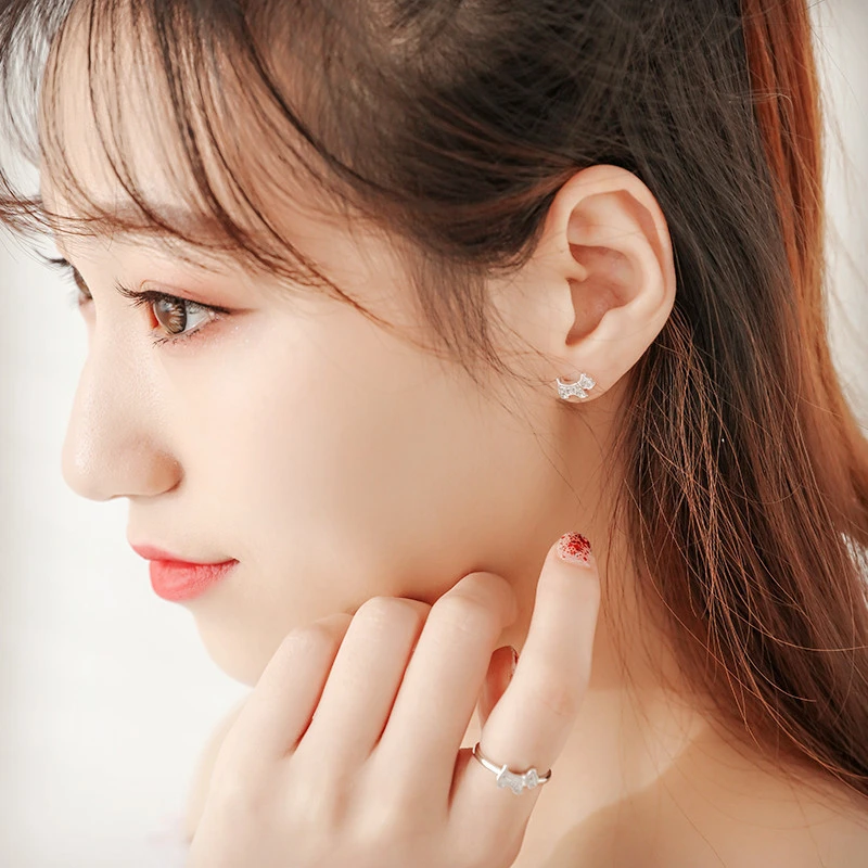 Japanese And Korean Fashion Full Zirconia Diamond Stud Earrings