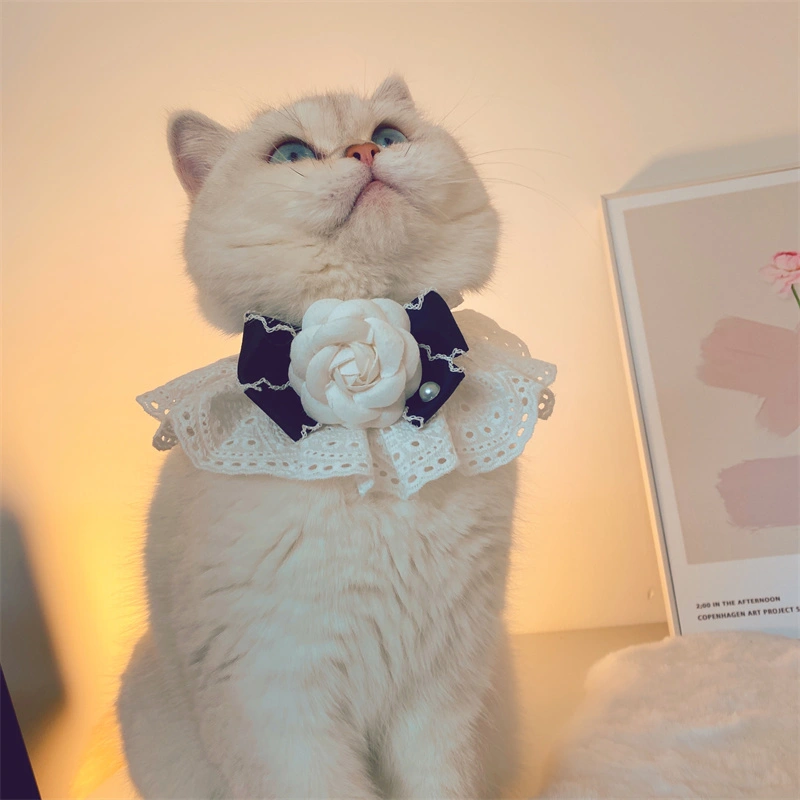 Fashion Cat Lace Neck Pet Collar Bow