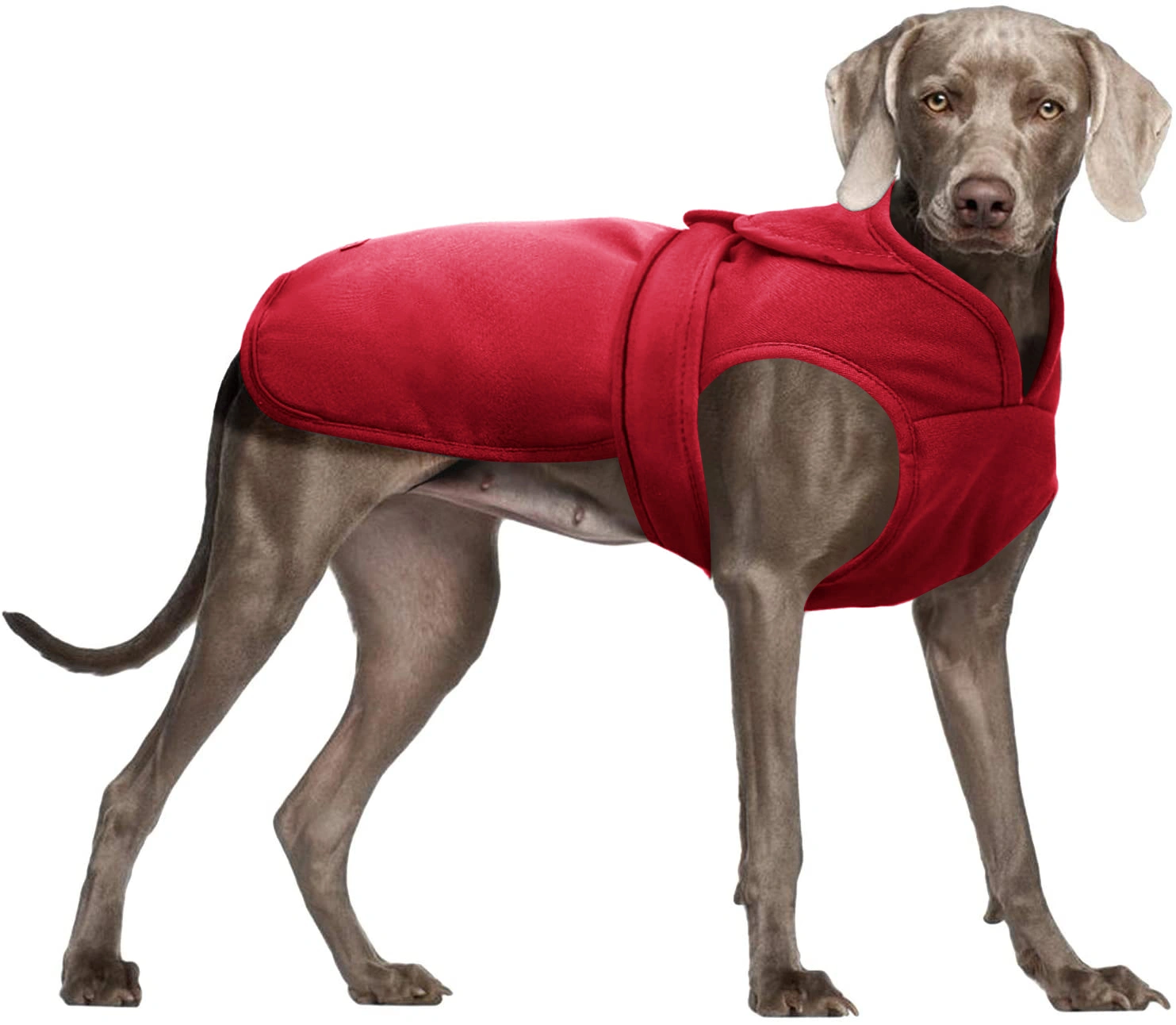 Vestione Dog Coat Winter Warm Coat Windproof Dog Vest Keep Warm Pet Clothes for Small Medium Large Dogs