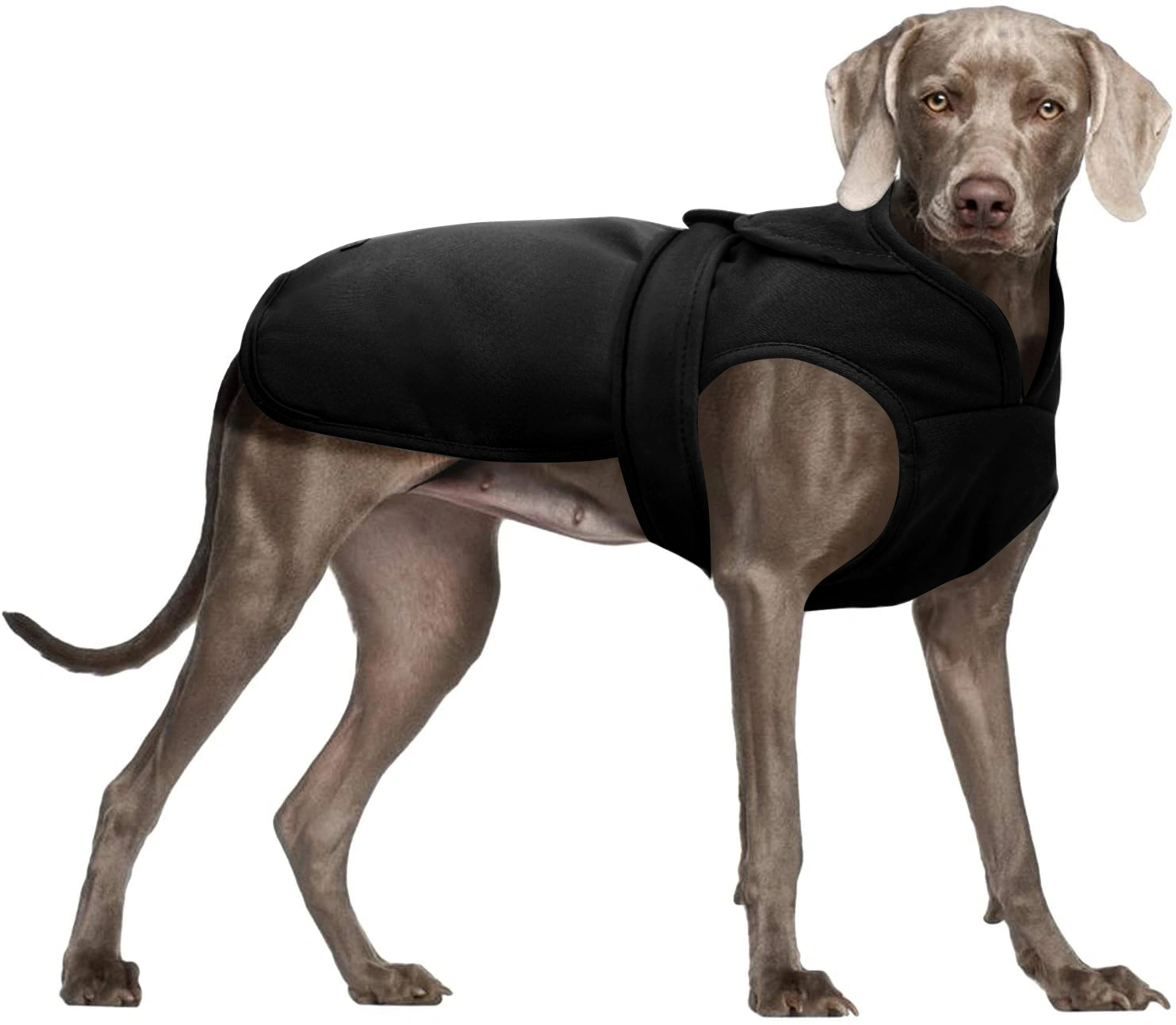 Vestione Dog Coat Winter Warm Coat Windproof Dog Vest Keep Warm Pet Clothes for Small Medium Large Dogs