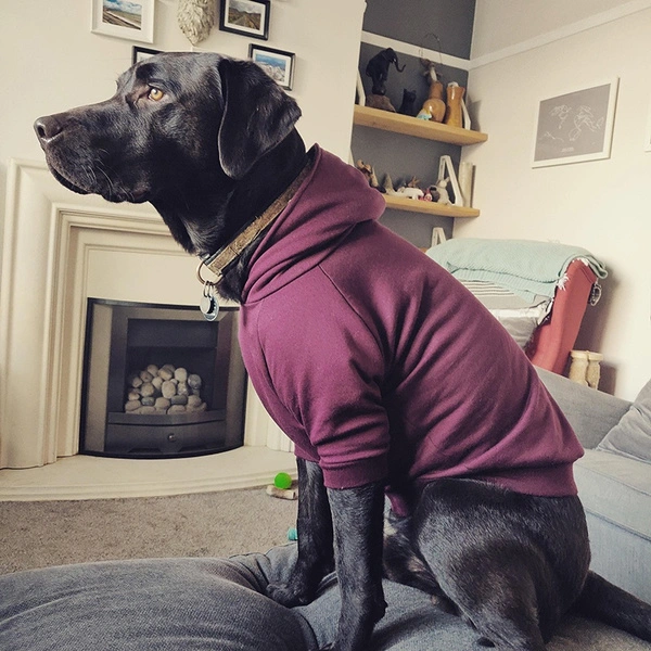 Vestione Pet Dog Winter Hoodie Outdoor Sport Sweater Shirt Pet Apparel for Small Medium Large Dog