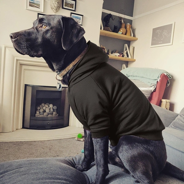 Vestione Pet Dog Winter Hoodie Outdoor Sport Sweater Shirt Pet Apparel for Small Medium Large Dog