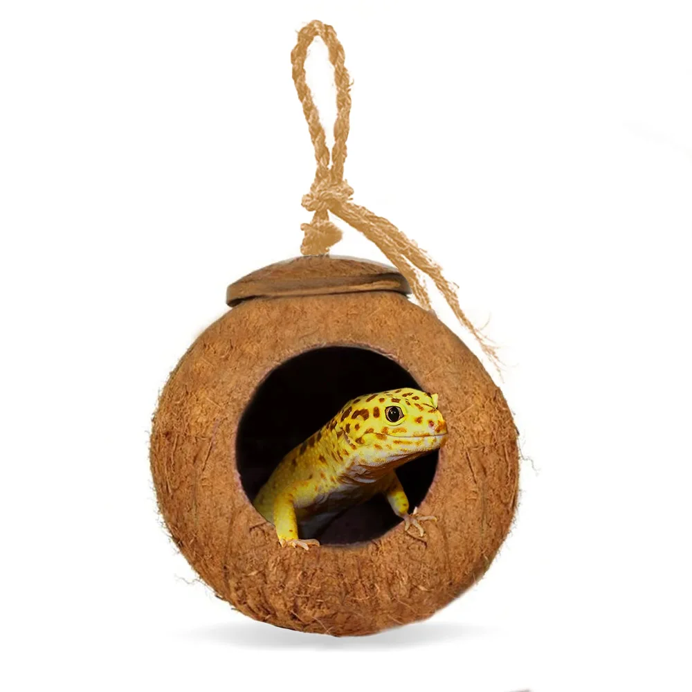 SunGrow Leopard Gecko Coco Hut, Gecko Climbing Accessories, Raw Coconut Shell Reptile Hide, Terrarium Habitat Décor, 2.5” Opening Diameter, with Fiber Loop for Hanging (1-Hole)