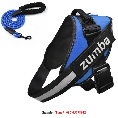 Blue Personalized Remy Harness Leash Included