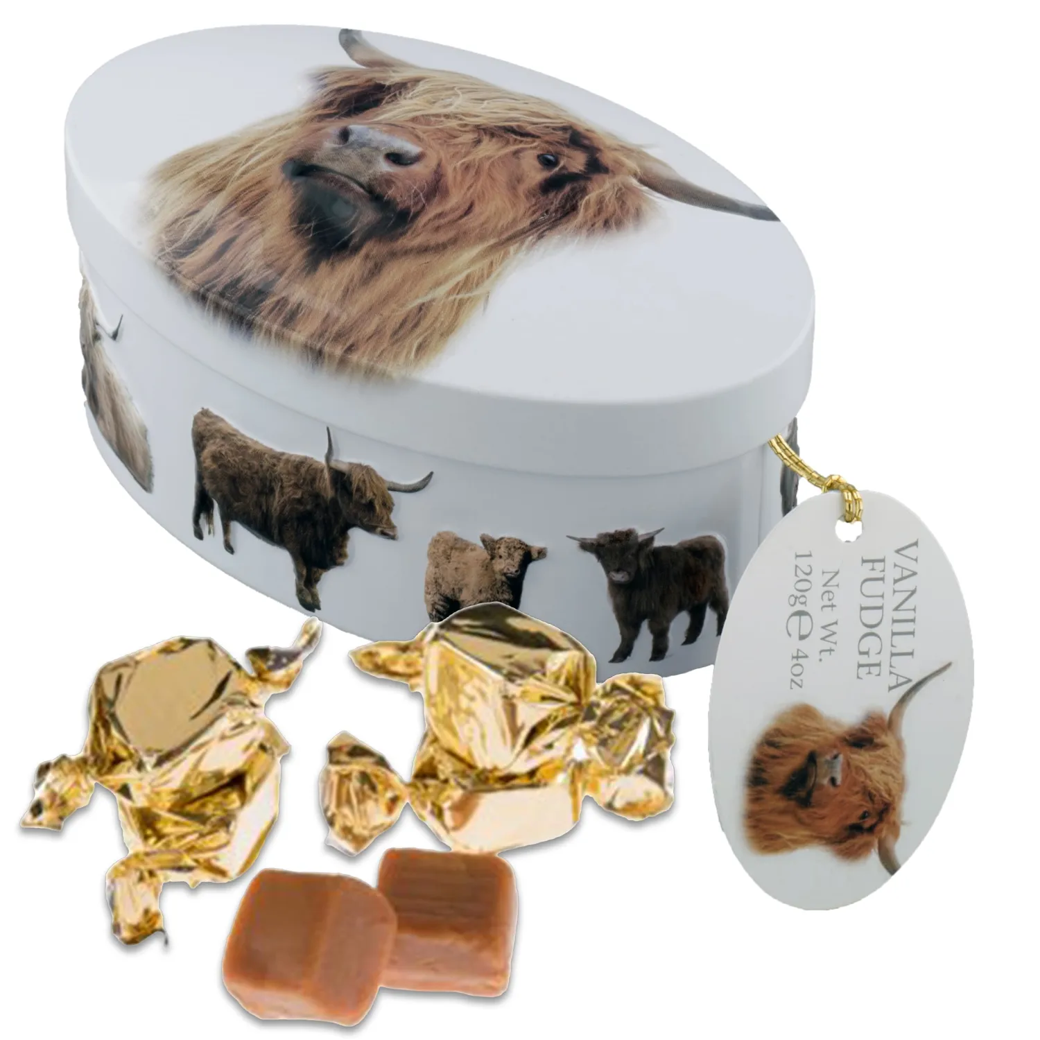 Gardiners of Scotland Handmade Fudge 120g Oval Tin, Highland Cow Vanilla Fudge