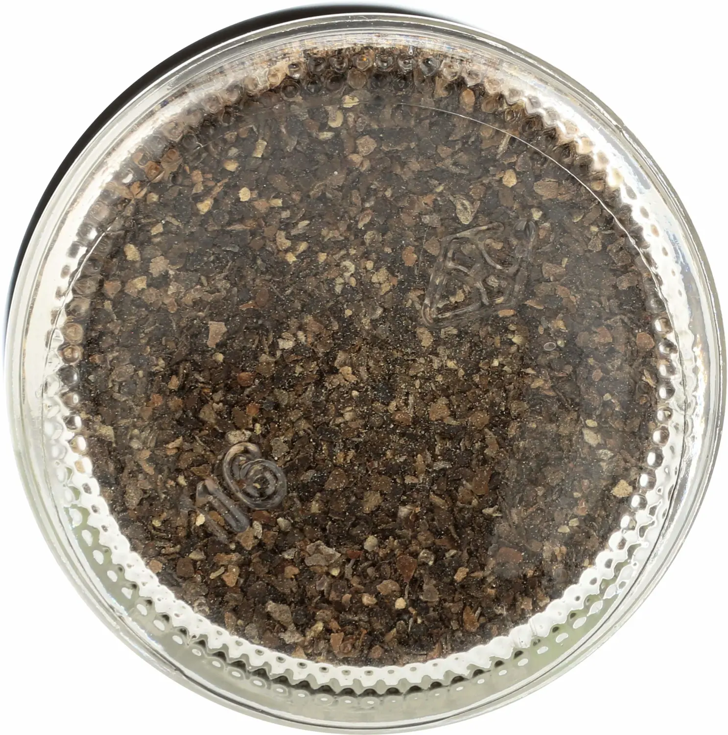 Spicely Organic Peppercorn Black Crushed (28 Mesh) - Glass Jar - Gluten Free - Non Gmo - Vegan - Kosher
