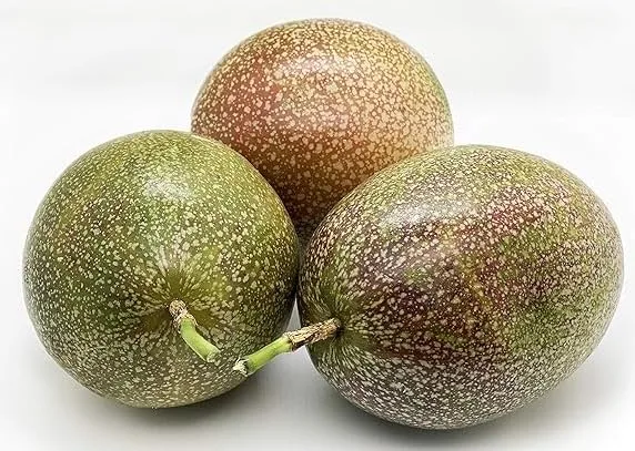 Kejora Fresh Purple Passion Fruit Grown in the USA - 12 Count (Pack of 1) - Pick Fresh