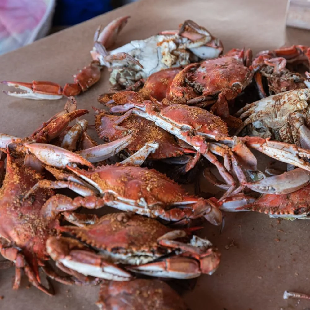Cameron's Seafood Jumbo Maryland Blue Crabs - Extra Large Jimmys Steamed (6)