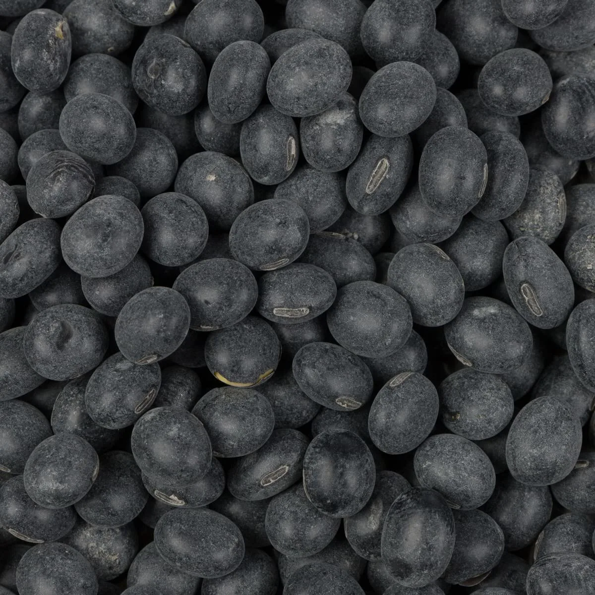 Soymerica Non-GMO Black Soybeans - 2 Lbs. Identity Preserved (IP). Keto Friendly Low Carb. Great for Soy Milk and Tofu. 100% Product of USA