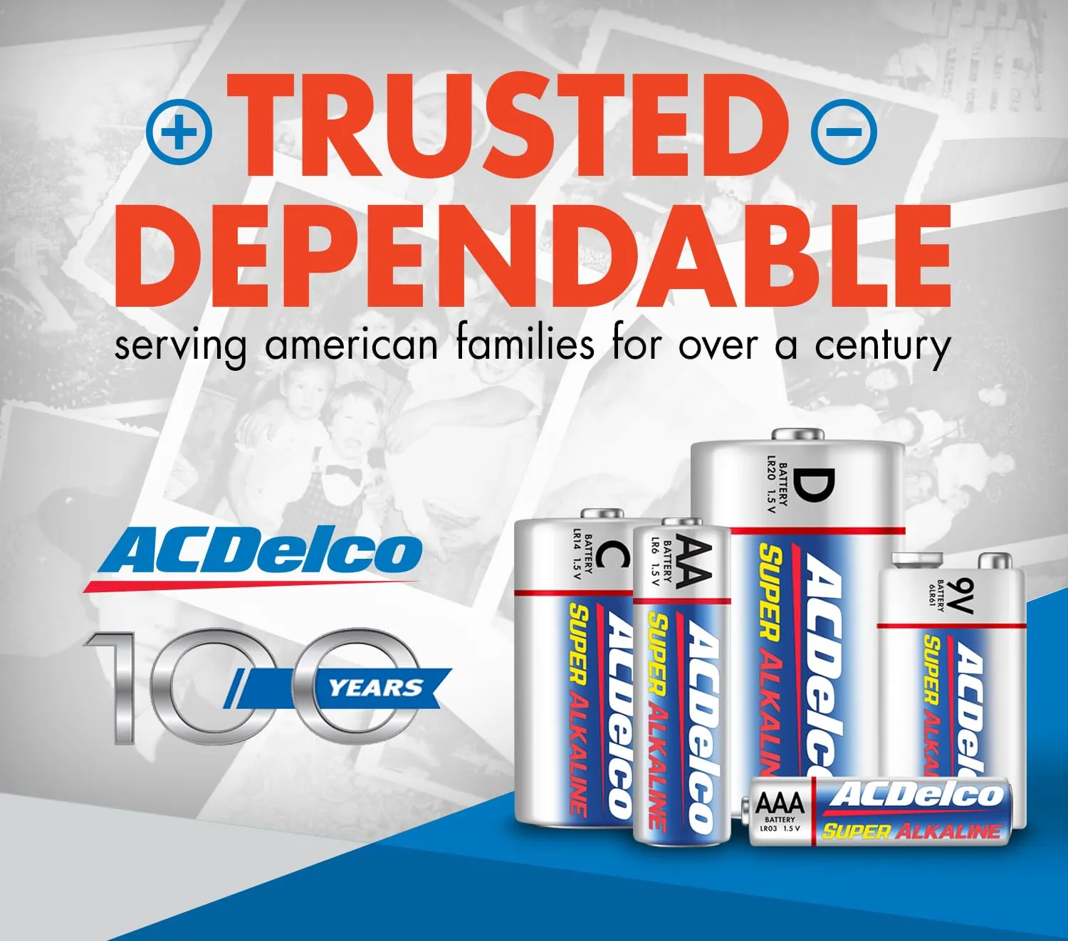ACDelco 48-Count Triple AAA Batteries, Maximum Power Super Alkaline Battery, 10-Year Shelf Life, Reclosable Packaging