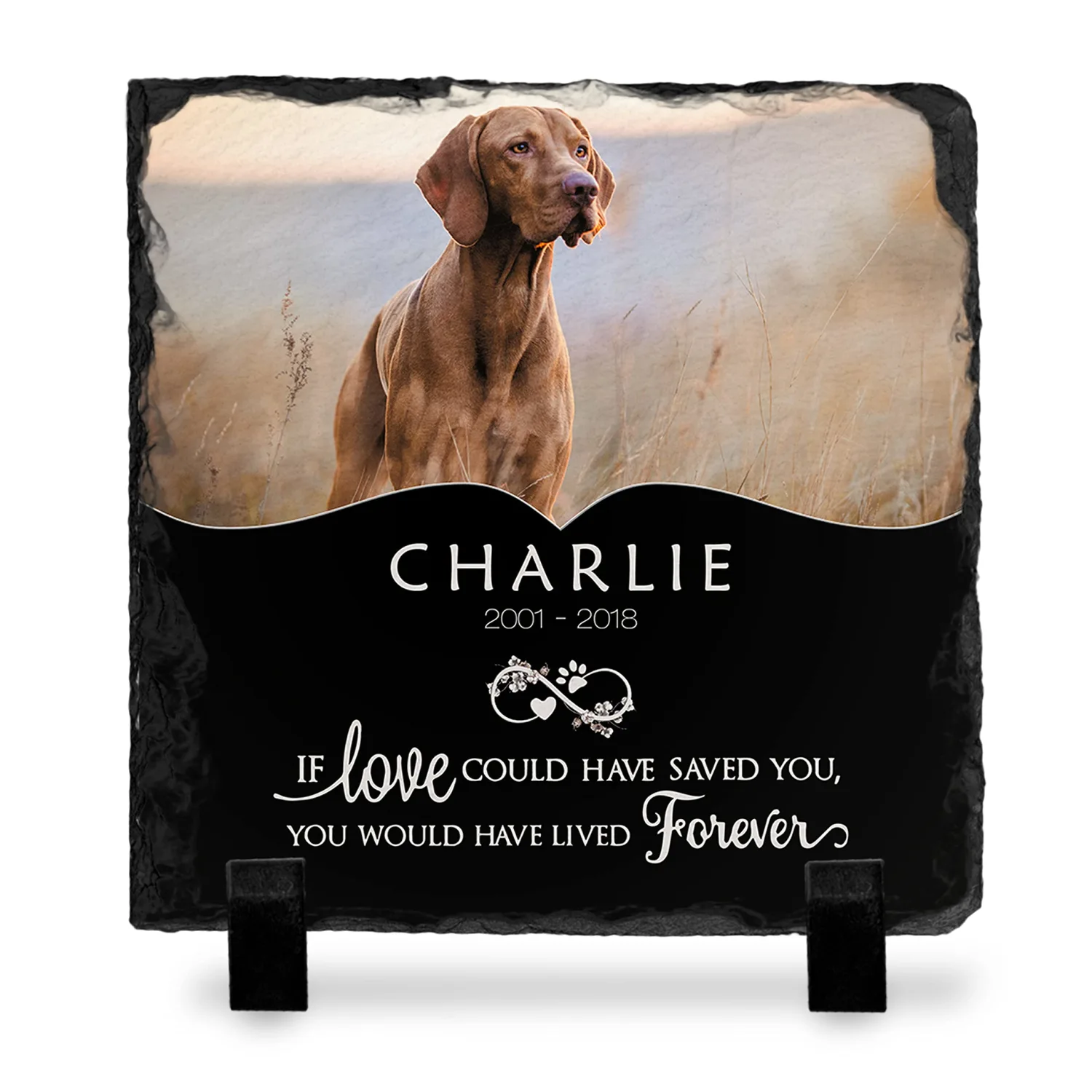 Brd Gifts Pet Memorial Stone with Photo - 6"x6" - 6 Designs - Pet Grave Marker - Pet Headstone | Dog Memorial Stone - Garden Memorial Stones - Personalized Memorial | Waterproof - Outdoor & Indoor #3