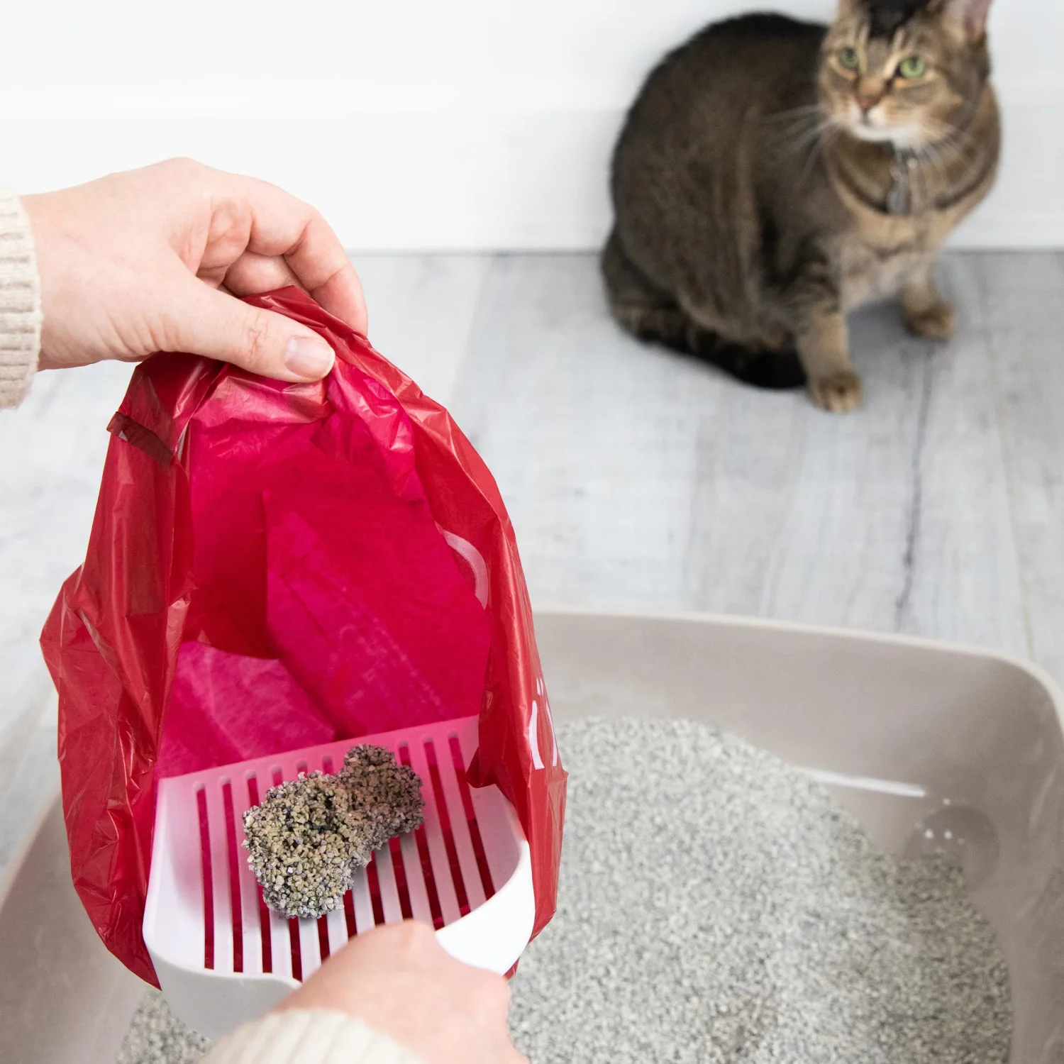 Ubbi Pet Cat Litter Scoop, White