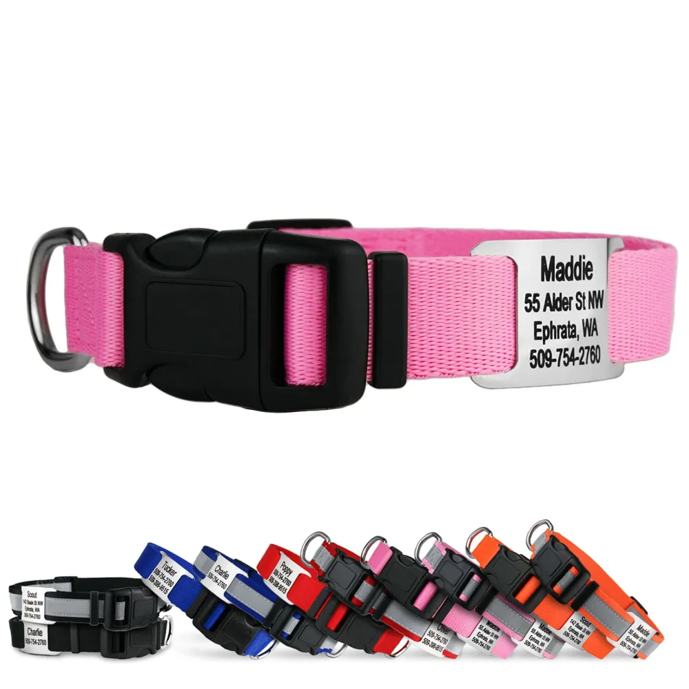 GoTags Personalized Dog Collar with Nameplate, Adjustable Dog Collar with Custom Engraved Slide On Pet ID Tag in Stainless Steel, Silent, No Noise Dog Tag for Large Medium and Small (Pink, Medium)