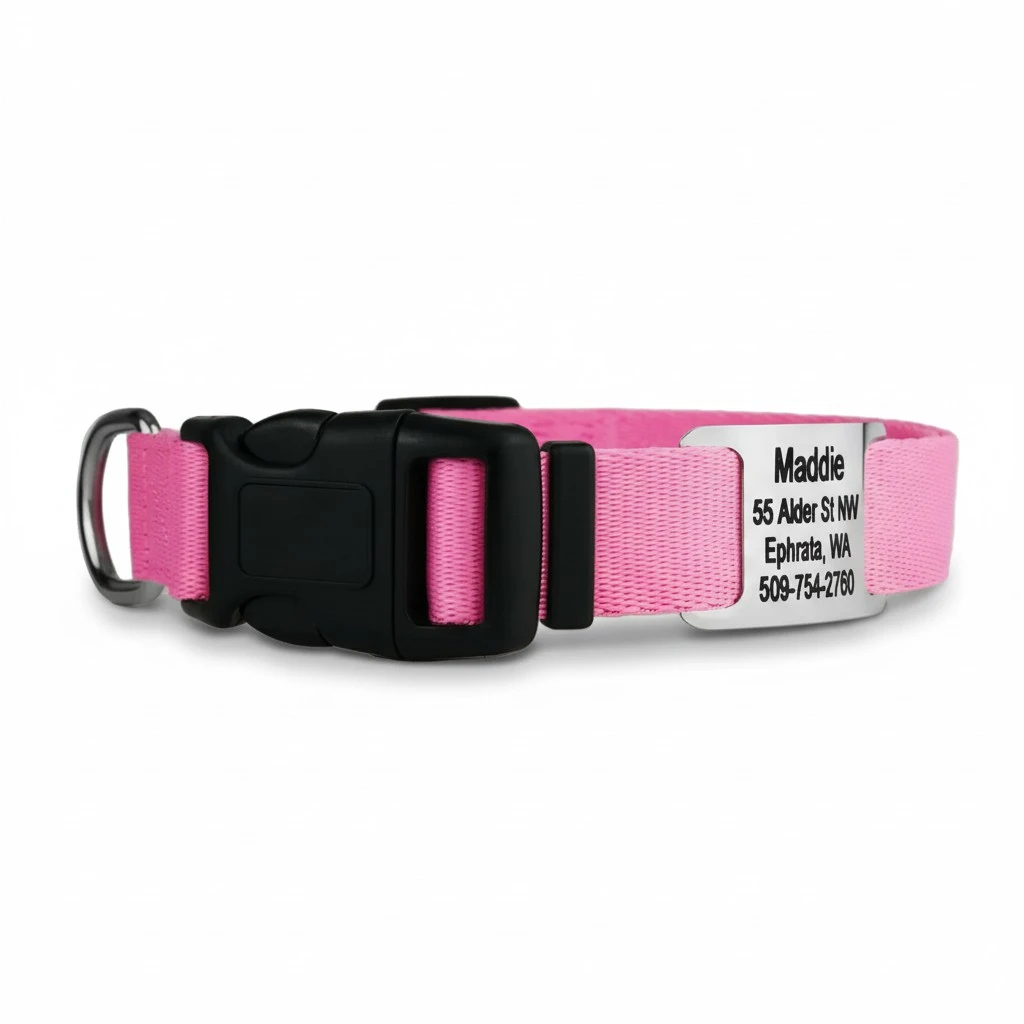 GoTags Personalized Dog Collar with Nameplate, Adjustable Dog Collar with Custom Engraved Slide On Pet ID Tag in Stainless Steel, Silent, No Noise Dog Tag for Large Medium and Small (Pink, Medium)