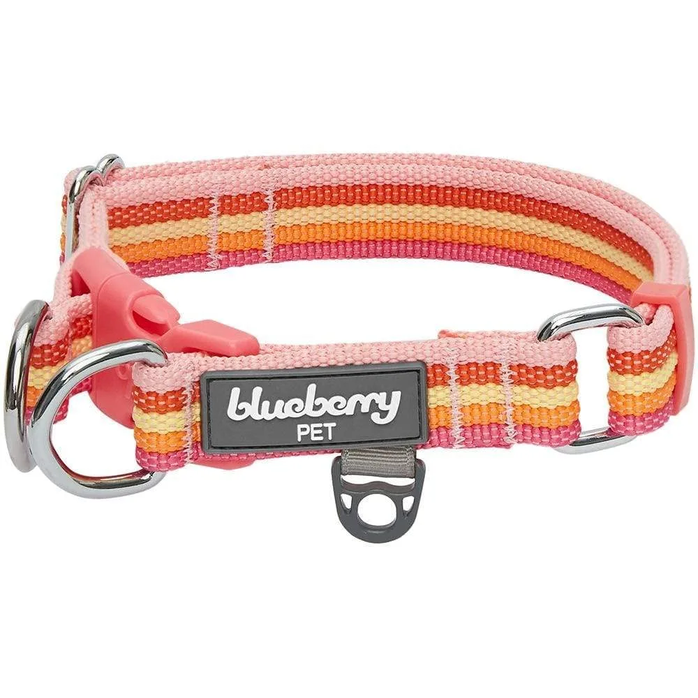 Blueberry Pet 3M Reflective Dog Collars | Adjustable Dog Collar w/Multi-Colored Stripe - Warm Tone Rainbow Color | Nylon Pet Collars for Dogs & Refflective Dog Collar for Large Dogs