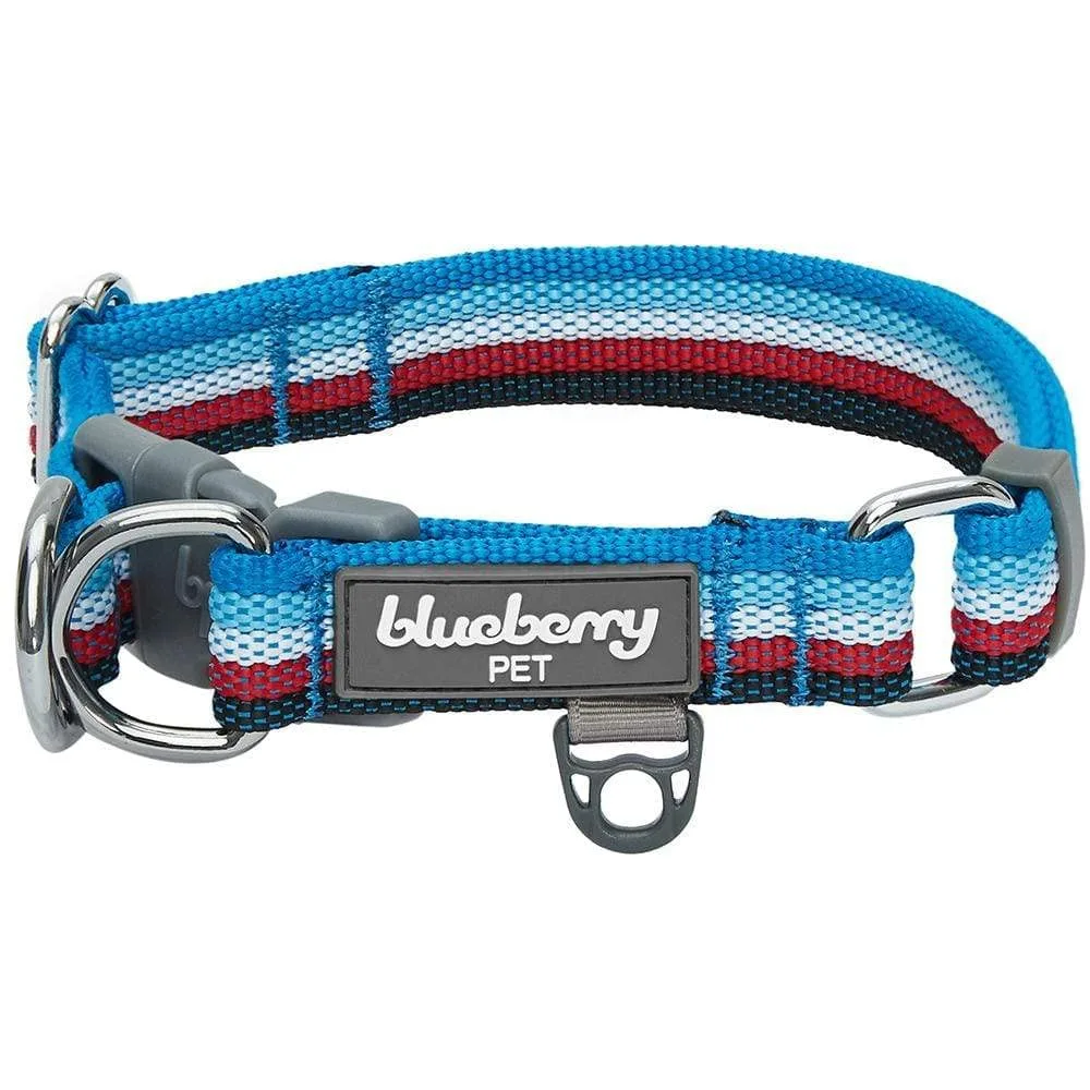 Blueberry Pet 3M Reflective Dog Collars | Adjustable Dog Collar w/Multi-Colored Stripe - Azure Blue and Raspberry Red | Nylon Pet Collars for Dogs & Refflective Dog Collar for Medium Dogs