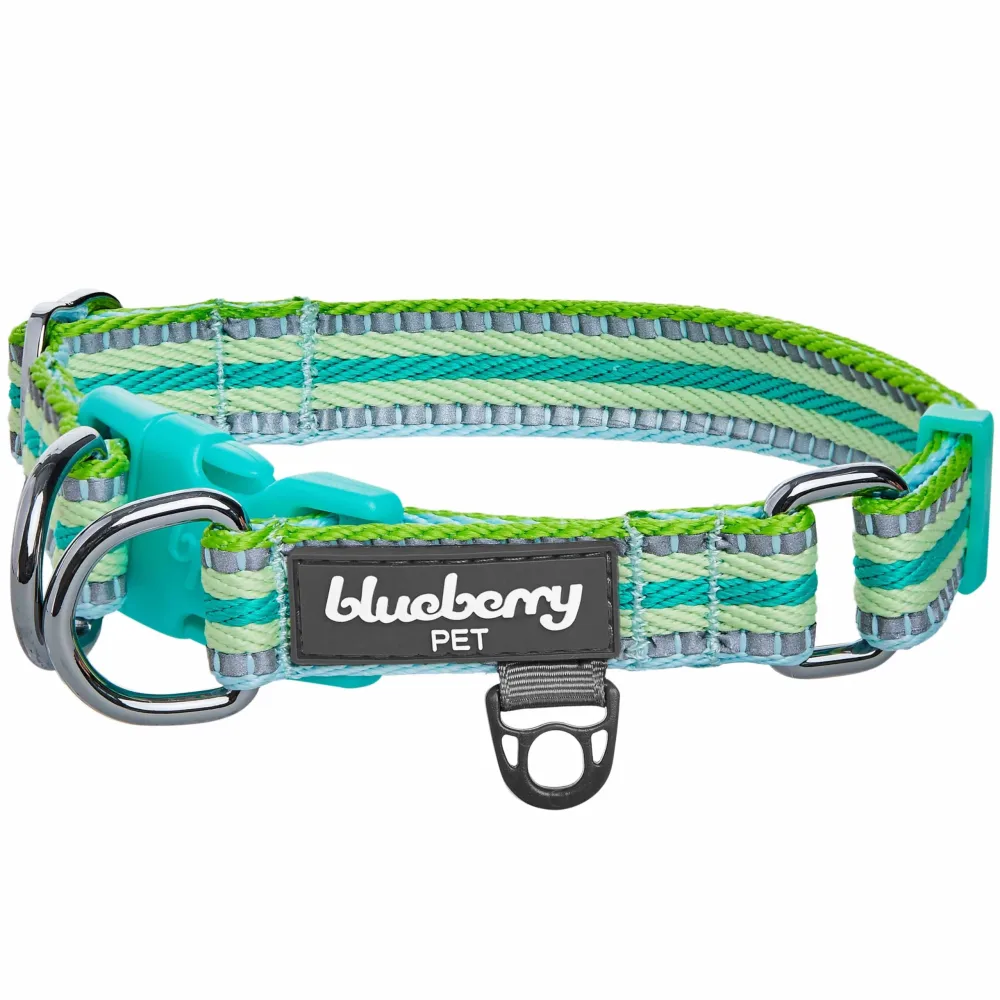 Blueberry Pet 3M Reflective Dog Collars | Adjustable Dog Collar w/Multi-Colored Stripe - Mint Blue and Green | Nylon Pet Collars for Dogs & Refflective Dog Collar for Small Dogs