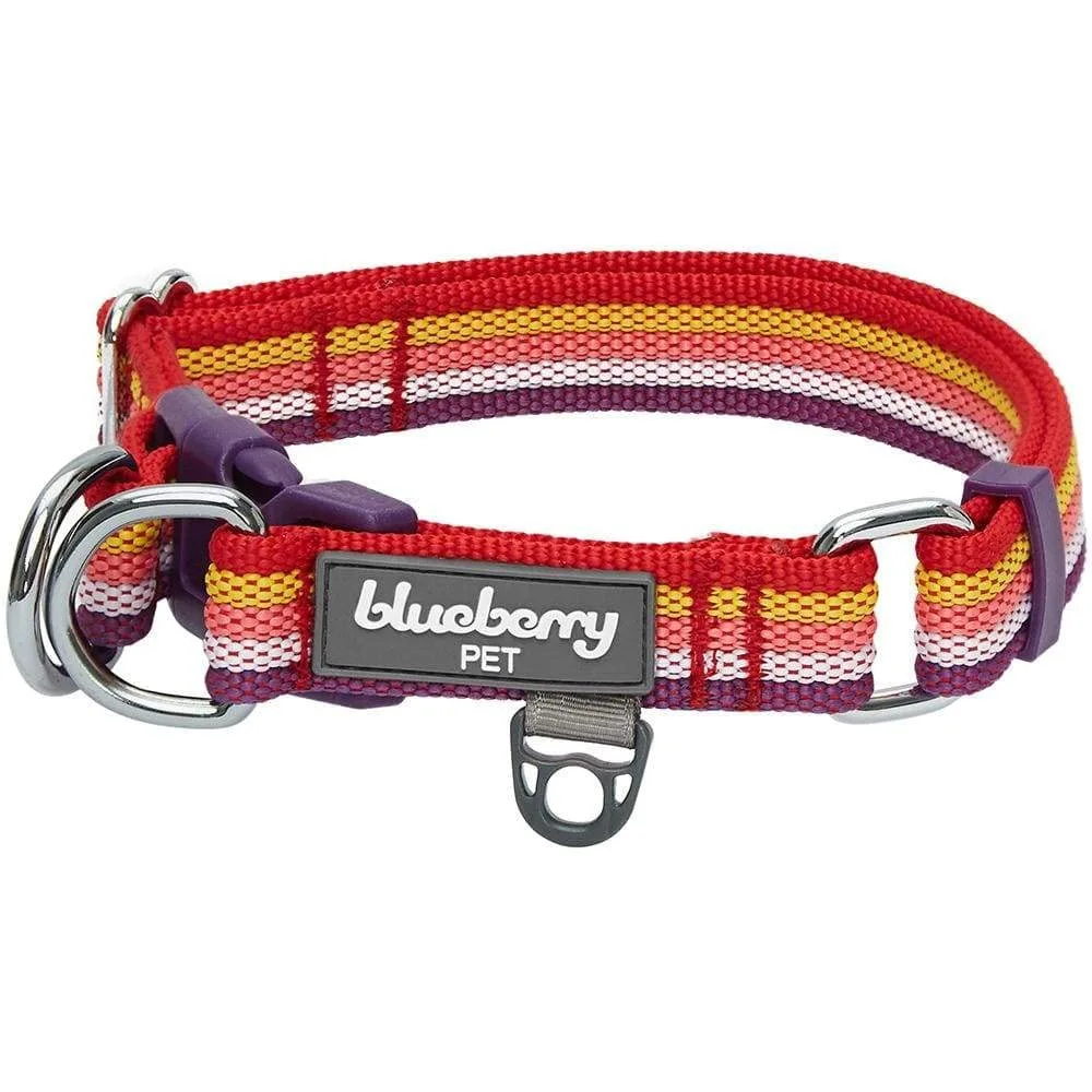 Blueberry Pet 3M Reflective Dog Collars | Adjustable Dog Collar w/Multi-Colored Stripe - Mixed Tone Rainbow Color | Nylon Pet Collars for Dogs & Refflective Dog Collar for Small Dogs