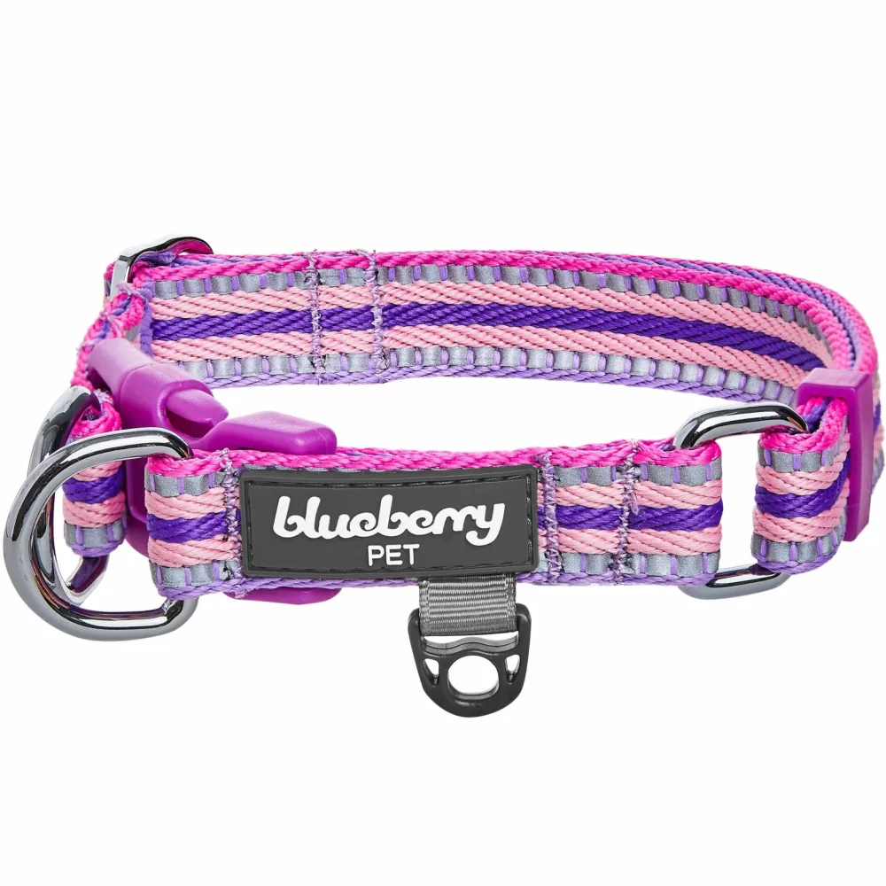 Blueberry Pet 3M Reflective Dog Collars | Adjustable Dog Collar w/Multi-Colored Stripe - Orchid, Pink and Lavender | Nylon Pet Collars for Dogs & Refflective Dog Collar for Medium Dogs