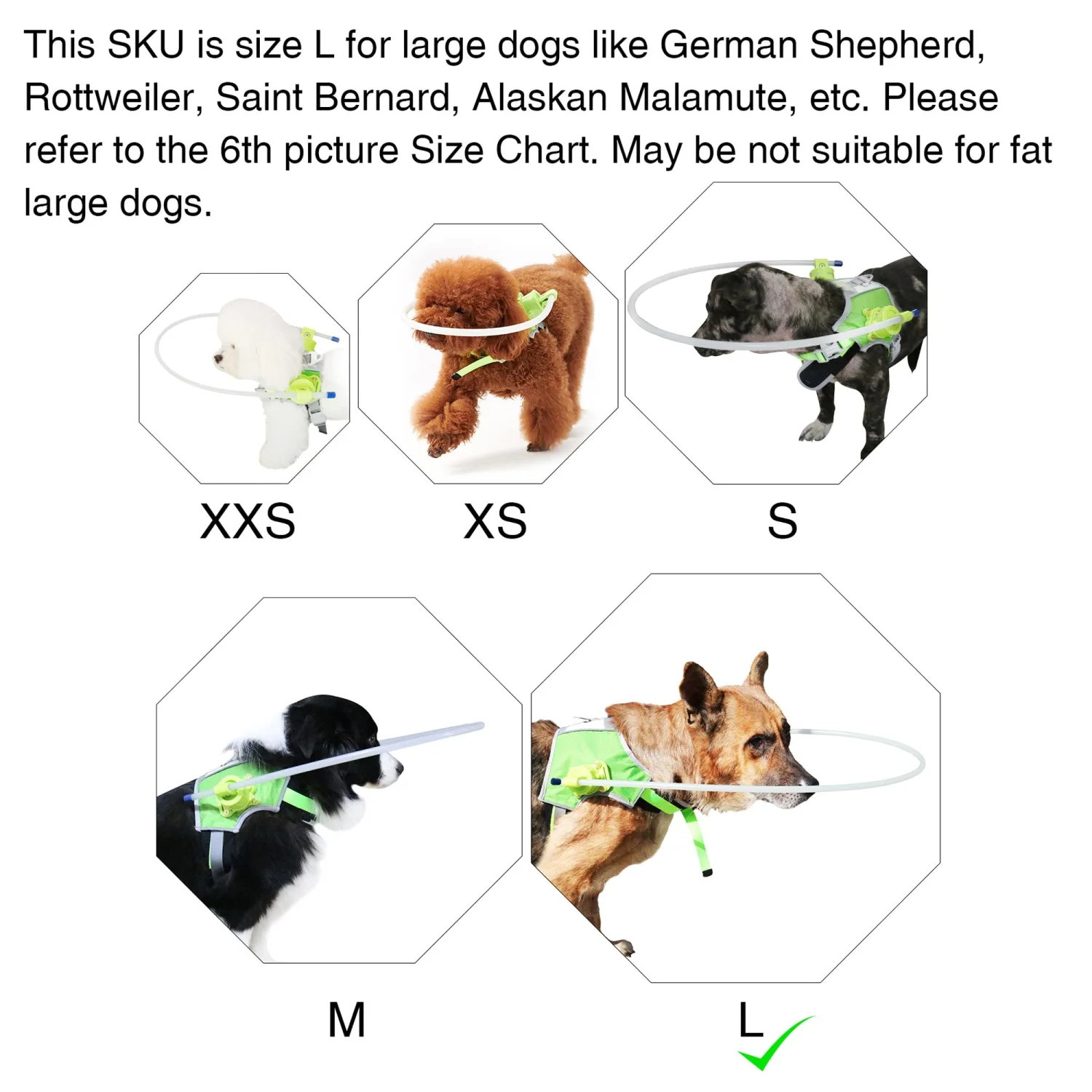 HQSLC Blind Dog Halo,Blind Dog Harness Guiding Device, Pet Safe Halo,Pet Anti-Collision Ring for Prevent Collision & Build Confidence, Blind Dog Accessories (L)