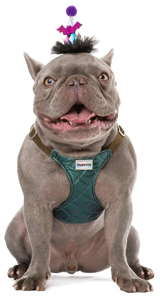 Puppytie No Pull Dog Harness with Multifunction Dog Leash,Soft Adjustable No Choke Escape Proof Pet Harness Vest for Medium Dogs,Glossy Dark Green,M