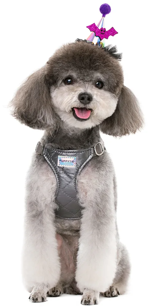 Puppytie No Pull Small Dog Harness with Multifunction Dog Leash,Lightweight Soft Adjustable No Choke Escape Proof Pet Harness Vest Pet Harness Vest,Glossy Grey,S