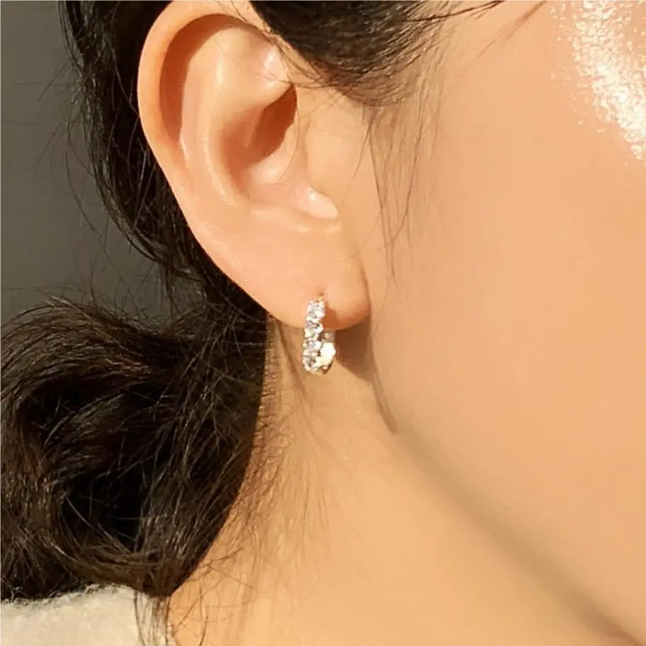 Women's Simple Sterling Silver Zircon Stud Earrings