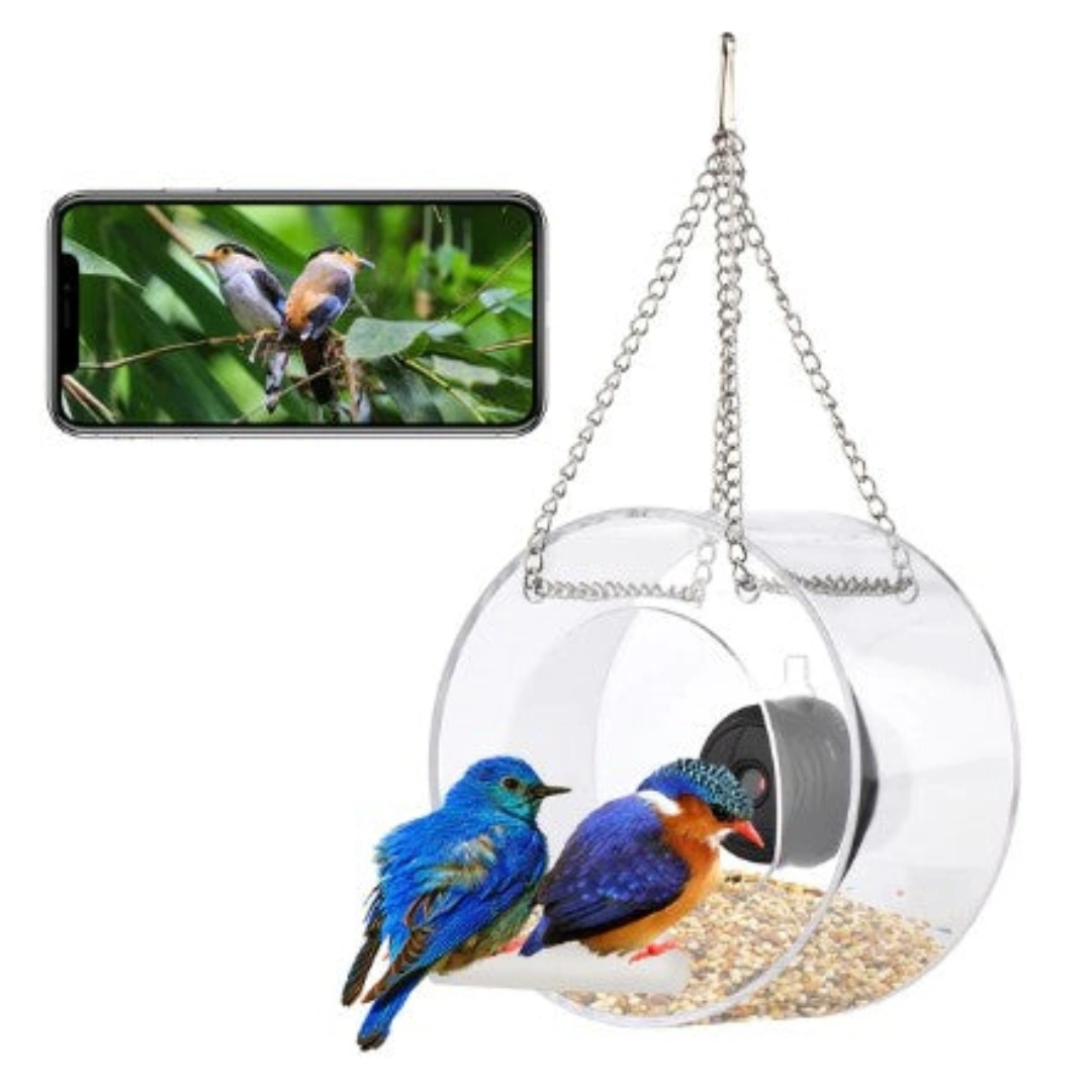 Intelligent Pet Bird Feeder For Outdoor Real-time Monitoring With High-definition Camera