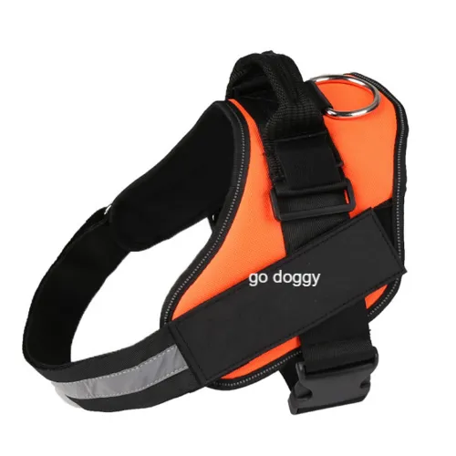 dog harness