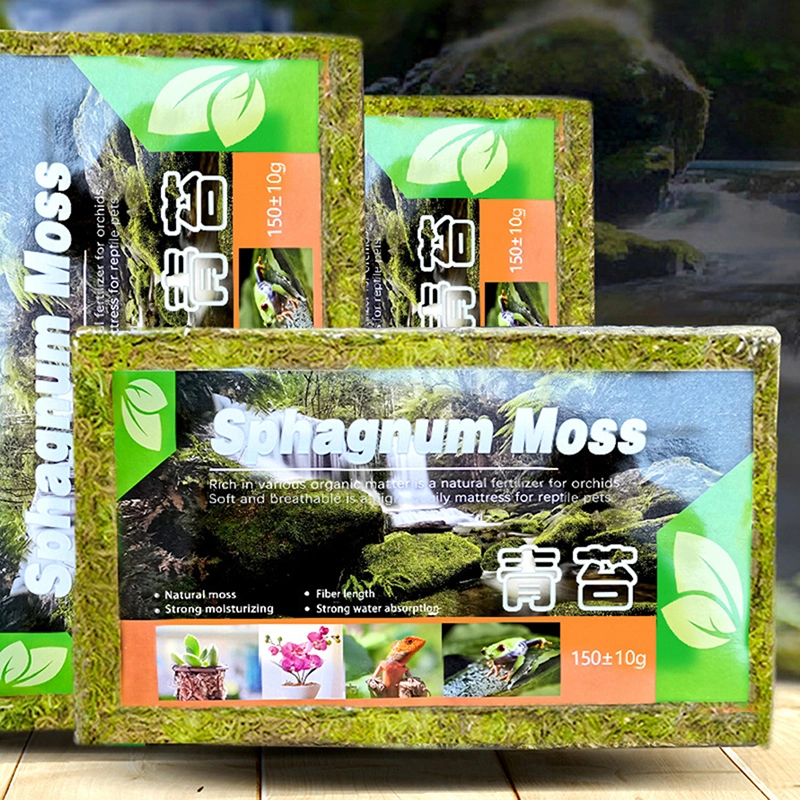 Compressed Moss Natural Pet Moisturizing Pad Material