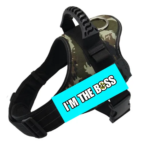 I'm The Boss Cute Customized Design, Adjustable Pet Harness