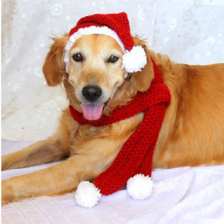 Two-piece Pet Hand-knitted Hat And Scarf