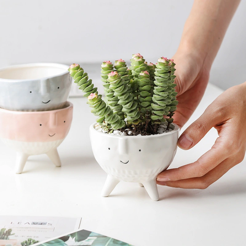 Cute Expression Succulent Flowerpot Hand Drawn Cartoon