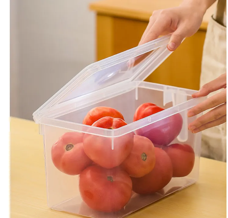 Refrigerator Hand - Held Multigrain Storage Box With Handle