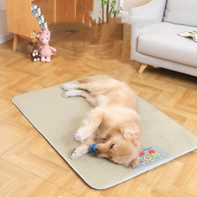 Pet Mat Dog Sleeping Non Slip