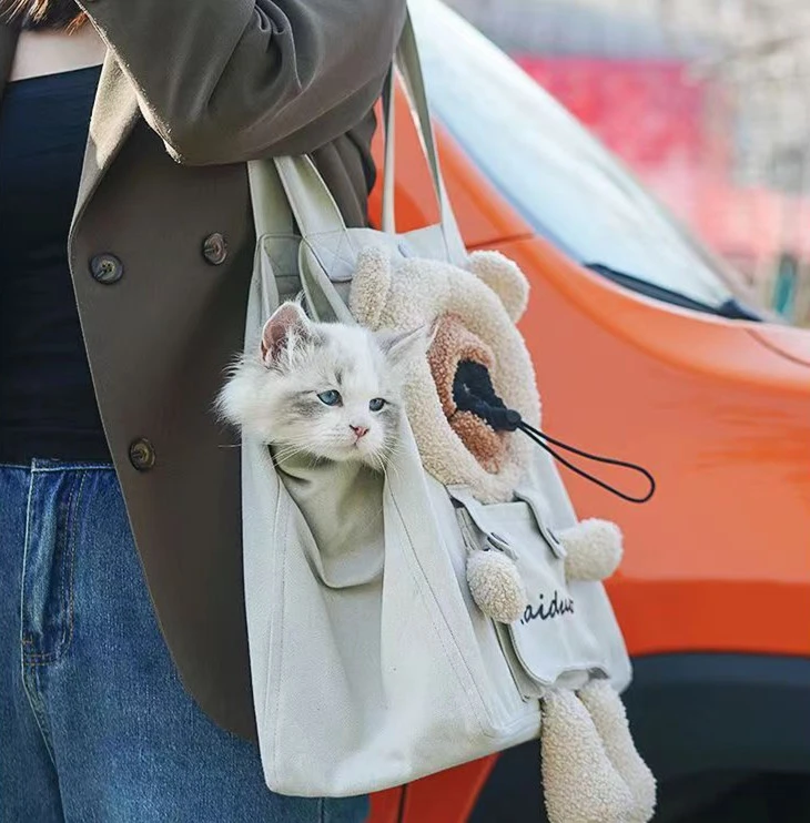 Portable Pet Cat Bag For Going Out