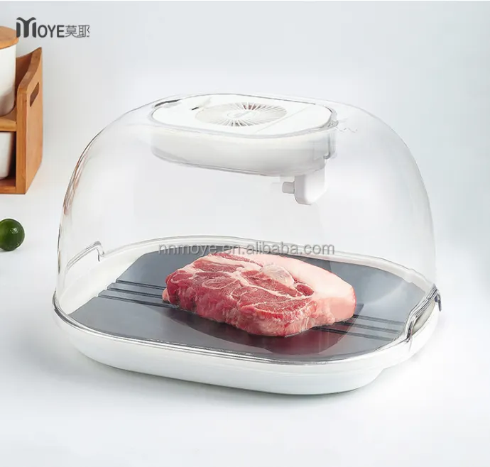 Meat Thawing Machine