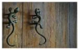 Gecko Door Handles