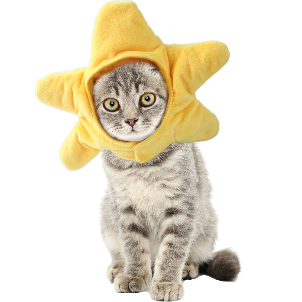 Teddy Dress Up Flower Headgear Cat Headgear Pet Supplies