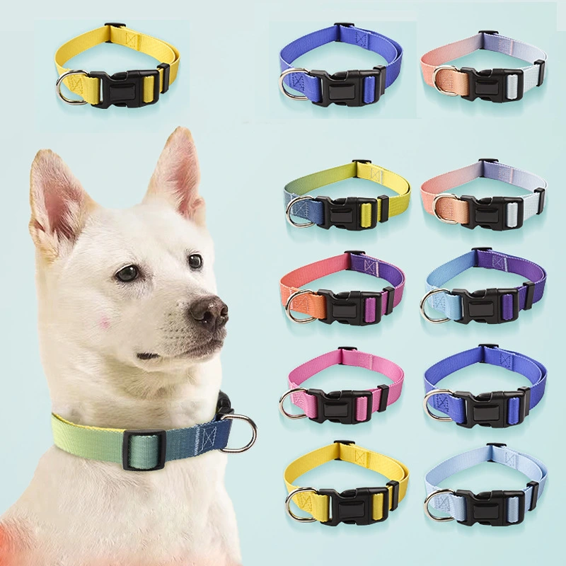 Nylon Pet Collar Traction Rope Set