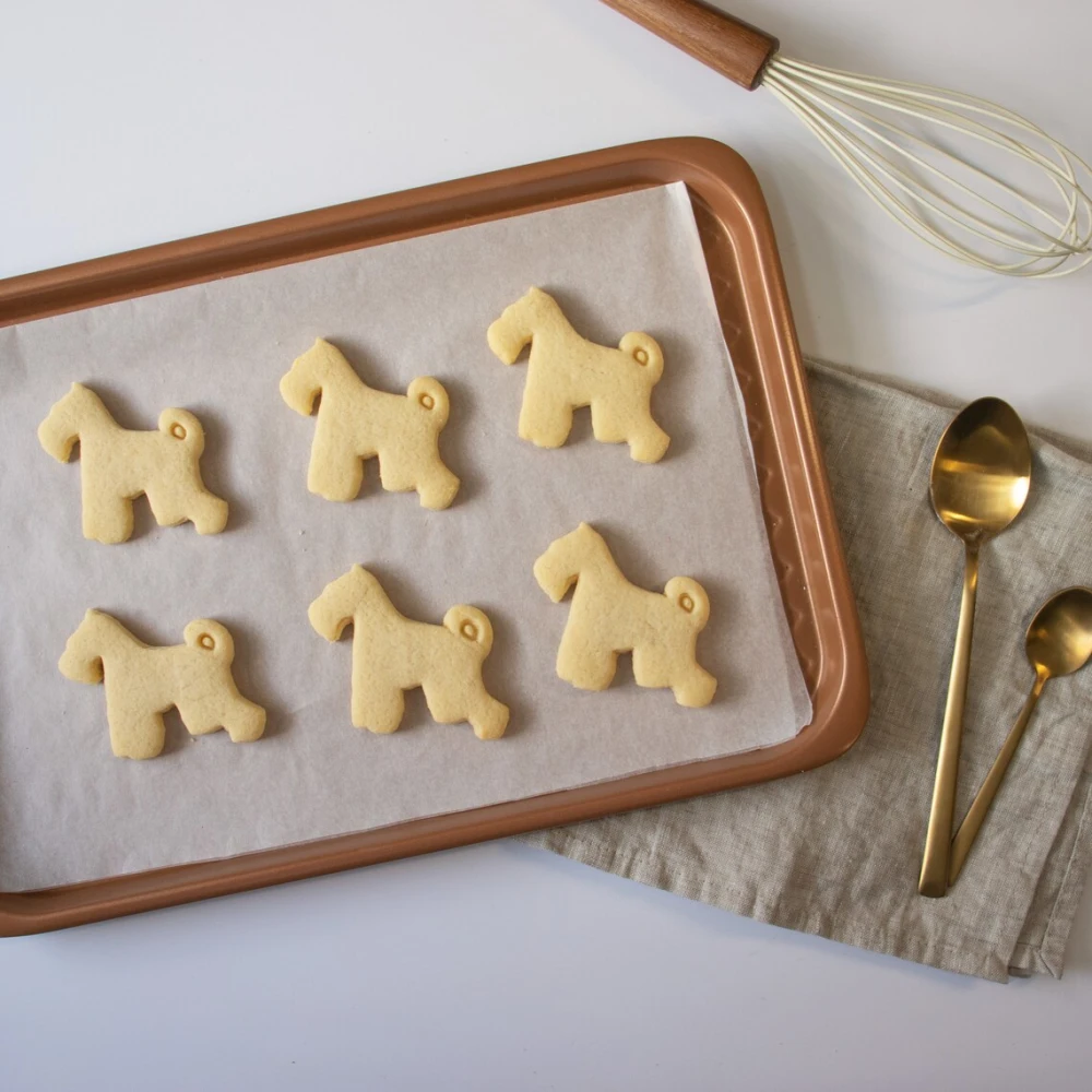 Pet Dog Schnauzer Makes Molds For Home Use