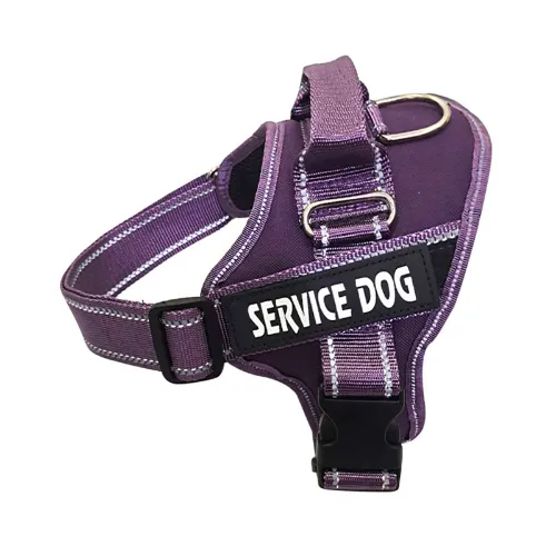 Reflective dog harness