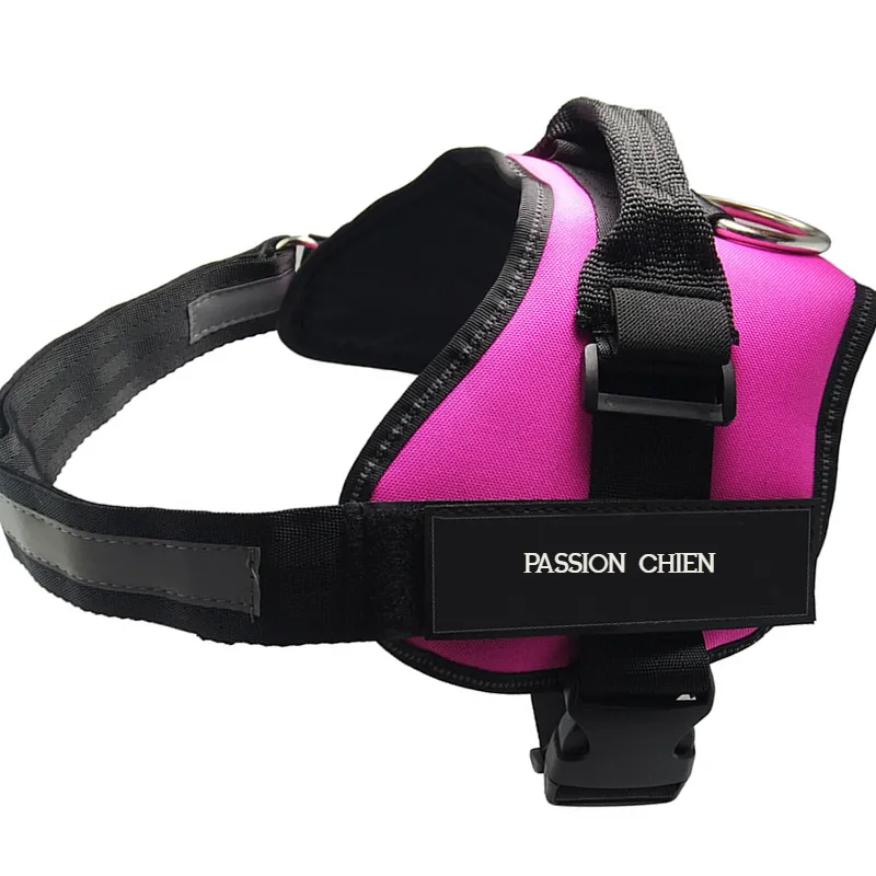 Dog Harness