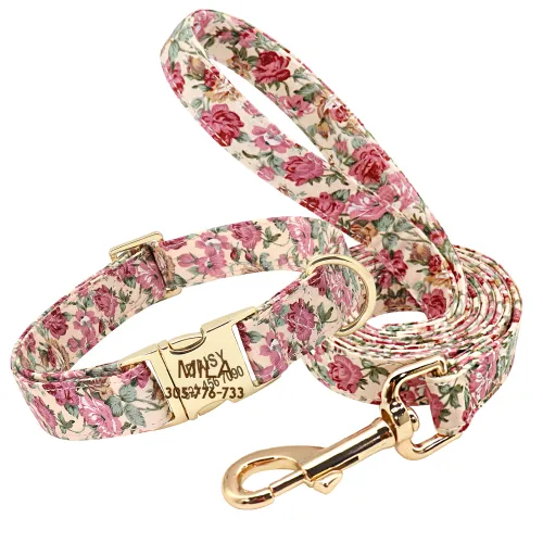 Golden Wild Wagger TBC1007